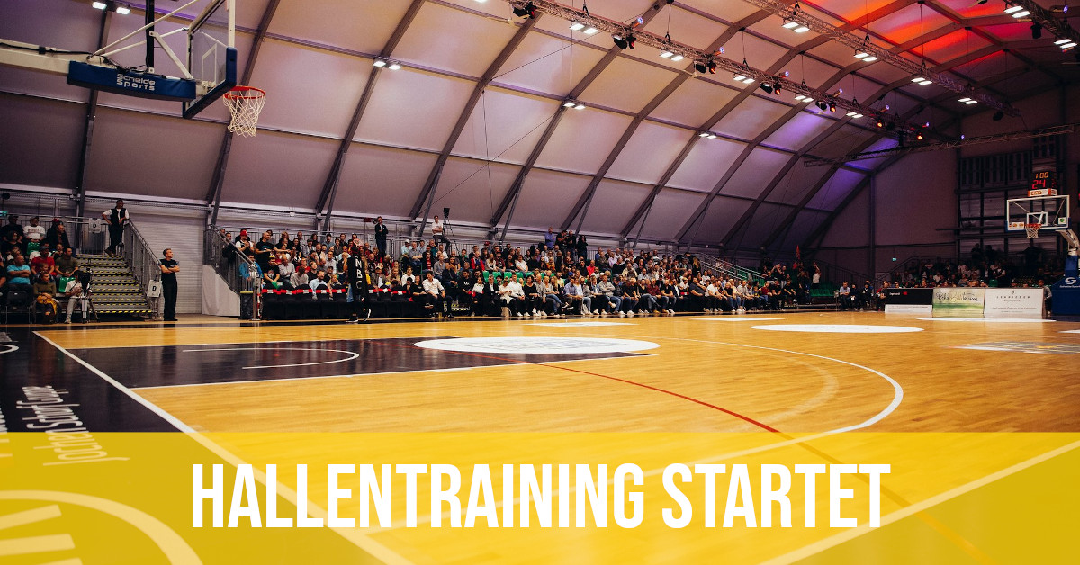 Start der neuen Saison bei Queens & Kings Basketball